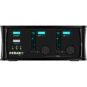 CEDAR SE 1 Portable 2-channel Hardware Speech Enhancer with Case