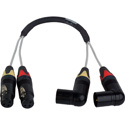 Laird CION-2AUD-06 2-Channel Balanced 3-Pin XLR Female to Right Angle XLR Male Audio Input Cable for AJA CION - 6 Foot