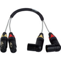 Photo of Laird CION-2AUD-06 2-Channel Balanced 3-Pin XLR Female to Right Angle XLR Male Audio Input Cable for AJA CION - 6 Foot