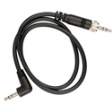 Sennheiser CL1 Line Output Cable for EK100G2 EK500G2 w 1by8 in Miniplug and EW