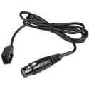 Clear-Com HLCN-X4 CC-300/110 Spare Cable with XLR(F) 4-Pin to 8-Pin Connectors - 5 Feet (1.55 Meter)