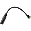 Photo of Calrad 10-95M-PHX-6 XLR Male to 3 Pin Phoenix Connector Length - 6 Inches