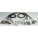 Custom 12 Channel Snake Designed with Mogami 2933 Multichannel Cable