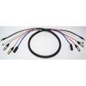6 Foot Dual Video / Dual Audio / Ethernet RJ45 Custom Snake Cable