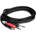Photo of Hosa CMP-153 3.5mm Stereo Mini Male to Dual 1/4 Inch Phone Y-Adapter Cable 3 Feet
