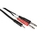 Photo of Stereo 3.5mm Mini Male to Dual Mono 1/4 Inch Phone Males Y-Adapter Cable 10 Feet