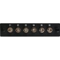 Camplex 6-Port ST Single Mode Fiber Adapter Plate Module with Ceramic Connectors-Yellow