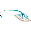 Camplex MTP48 PC Male to 48 LC PC Duplex OM3 Multimode Fiber Breakout Cable- 3 Foot