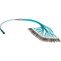 Photo of Camplex MTP48 PC Male to 48 ST PC OM3 Multimode Fiber Breakout Cable- 3 Foot