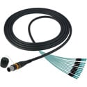 Camplex MTP/LC 0M3 Multimode 50/12 Fiber Micro Dist OM3 - NKO12M-LC-A-0- 10 Foot