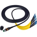 Camplex opticalCON MTP Single Mode APC to LC 12 Fiber Breakout Cable - NKO12S-LC-A-0 - 10 Foot