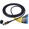 Photo of Camplex CMX-OCMTPSMSC10 opticalCON MTP to SC Single Mode APC 12 Channel Breakout Cable - 10 Foot