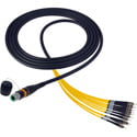 Camplex opticalCON MTP Single Mode APC to ST 12 Fiber Breakout Cable - NKO12S-ST-A-0 - 10 Foot