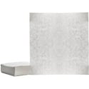 Camplex Cleaning Wipes Dry 10 x 10 in - 100 pack