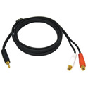 6ft One 3.5mm Stereo Male to Two RCA Stereo Female Y-Cable