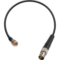 Laird DIN179DT-BF-1 Belden 179DT RG179 3G-SDI DIN 1.0/2.3 to BNC Female Video Adapter Cable - 1 Foot