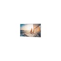 DaLite 23713 UTB Contour HDTV 16:9 159 Inch Etched Black Frame Da-Mat Screen