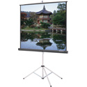 Photo of Da-Lite 69905 Carpeted Picture King Screen-Matte White Surface 96x96