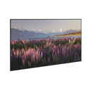 Photo of Da-Lite DL17004 Parallax Thin 16:9 Electric Screen with Parallax Pure UST 0.6 - 55-Inch x 97-Inch