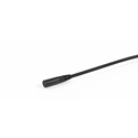 Photo of DPA 6061 CORE Omni Submini Lavalier Mic with Loud SPL - Black - MicroLock