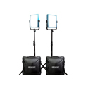 Dracast DR1000BCG2KQ Pro Series LED1000 Daylight LED 2 Light Kit with Gold Mount Battery Plates and Light Stands
