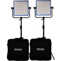 Dracast DR1000BCV2KQ LED1000 Pro Bicolor 2-Light Kit with V-Mount Battery Plates and Stands