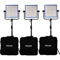 Dracast DRLK3X1000DK LED1000 Pro Daylight 3 Light Kit with V-Mount Battery Plates and Stands