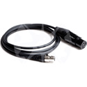 Dalcomm Tech SBJ-3 XLR4F Pro Audio Headset Adapter Cable