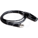 Photo of Dalcomm Tech SBJ-3 4 Pin Female XLR Adapter Cable