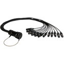 Clark Wire & Cable  X-DT12-M-FXLR-4 DT12 Male to 12 XLR Female Snake - 4 Foot