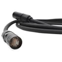Rapco DURACAT-100NBNB Rugged etherCON to etherCON Cat6 Ethernet Networking Cable for Audio/Data - Black - 100 Foot
