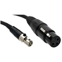 Datavideo G07621030602 Mini Female XLR to Female XLR Cable - 16 Inch
