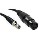 Photo of Datavideo G07621030602 Mini Female XLR to Female XLR Cable - 16 Inch