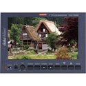 Photo of Datavideo TLM-700HD-C 7 Inch SD/HD LCD Monitor with Canon Battery Mount
