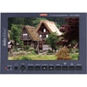 Photo of Datavideo TLM-700HD 7 Inch SD/HD LCD Monitor - Sony NP