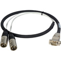 Photo of Laird ED-BE-2XM-003 Premium HD15 to XLR Male Analog Audio I/O Breakout Cable for Ensemble Designs BrightEye 54