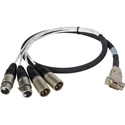 Laird ED-BE-2XMF-003 Premium HD15 to XLR Male & Female Analog Audio I/O Breakout Cable for Ensemble Designs BrightEye 30
