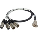 Photo of Laird ED-BE-2XMF-003 Premium HD15 to XLR Male & Female Analog Audio I/O Breakout Cable for Ensemble Designs BrightEye 30