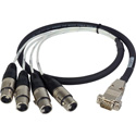 Laird ED-BE-4XF-003 Premium HD15 to XLR Female Analog Audio I/O Breakout Cable for Ensemble Designs BrightEye 23/25