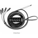 Photo of Elite Core Audio PERS4-BF-75 Perseus 4-Channel Female XLR Box to Male XLR Fan Out Snake with TECHFLEX - 75 Foot