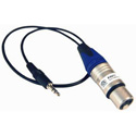 Photo of ETS PA911 Audio Camera Balun 3.5mm Mini Plug to Female XLR 18 Inch