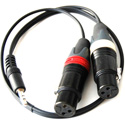 Photo of ETS PA912 2-Channel DSLR Audio Camera Balun