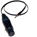 ETS PA921 iPro Audio Balun Cable for  iPads & Smartphones - 18 Inch