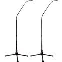 Earthworks FW430/HC-TPBmp Matched PAir FlexWand Hypercardioid with 4 Foot Tripod Base - 20Hz-30kHz