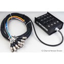 32-Channel (24x8) Fan-Box Snake with XLR male and 1/4 Inch Returns 50 Foot