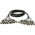 Photo of Rapco Pro Series XLR Snake Fan-Fan 12 channel 200 FT