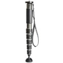 Photo of Gitzo GM4562 Monopod Series 4 Carbon 6 Sections