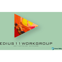 Grass Valley EW11-UGD-W EDIUS 11 Workgroup Upgrade from EDIUS X Workgroup - Download