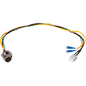 Photo of Camplex LEMO EDW to Dual SC & 6-Pin AMP MATE-N-LOCK Power Fiber Breakout Cable - 24 Inch