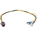 Camplex LEMO EDW to Dual ST & 6-Pin AMP MATE-N-LOCK Power Fiber Breakout Cable - 6 Inch